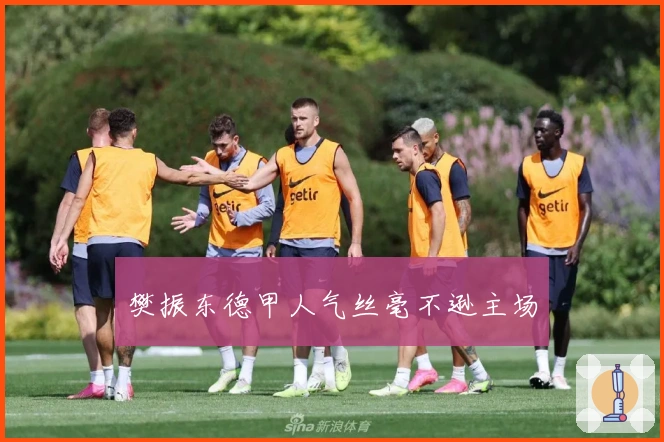 樊振东德甲人气丝毫不逊主场