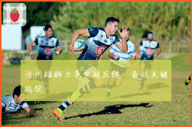 沧州雄狮力争中超反弹，备战关键战役